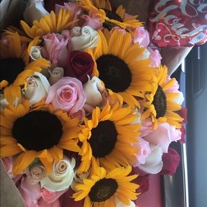 Meet your Posher, Georgina